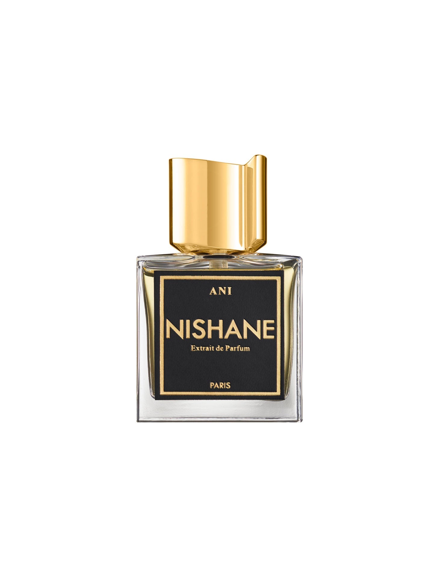 Nishane Ani Extrait de Parfum Unisex Fragrance 100ml Bottle